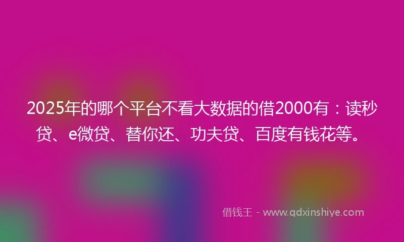 2025年的哪个平台不看大数据的借2000有：读秒贷、e微贷、替你还、功夫贷、百度有钱花等。