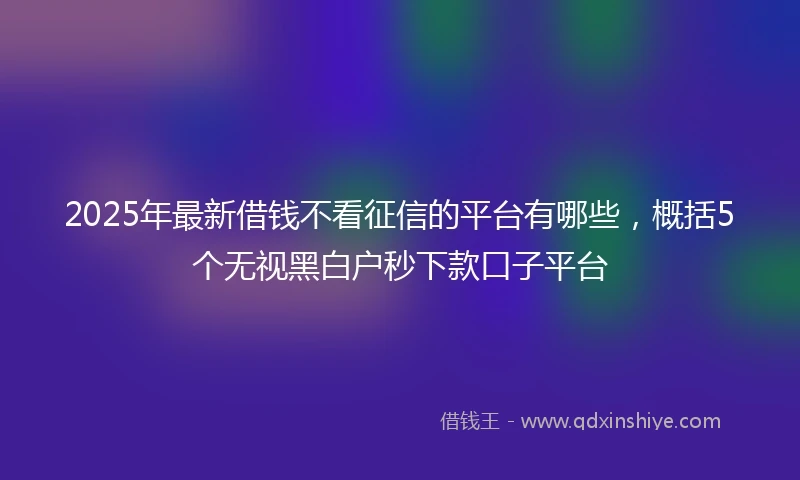 2025年最新借钱不看征信的平台有哪些，概括5个无视黑白户秒下款口子平台