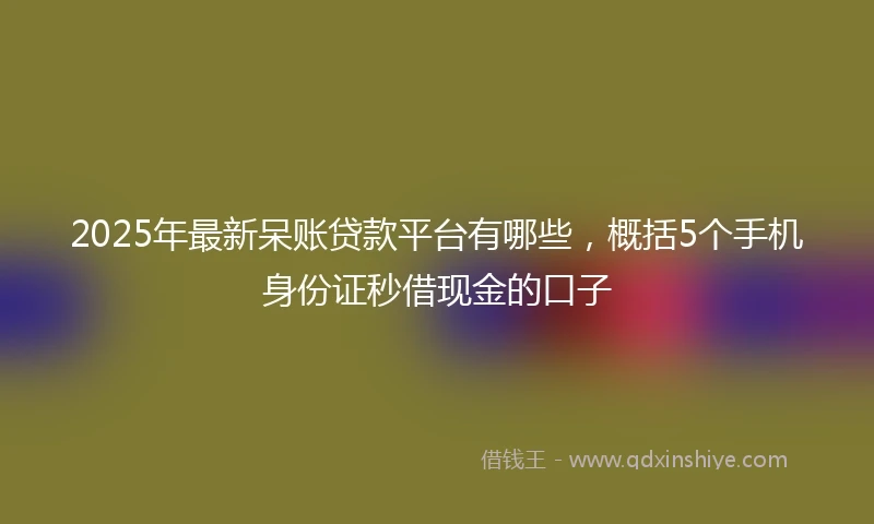 2025年最新呆账贷款平台有哪些，概括5个手机身份证秒借现金的口子