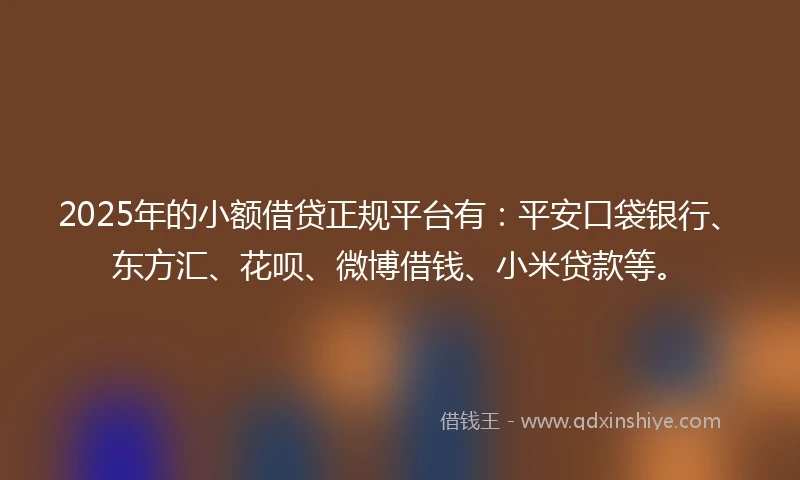 2025年的小额借贷正规平台有：平安口袋银行、东方汇、花呗、微博借钱、小米贷款等。