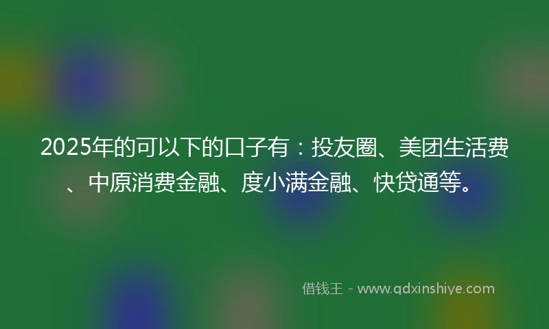 2025年的可以下的口子有：投友圈、美团生活费、中原消费金融、度小满金融、快贷通等。