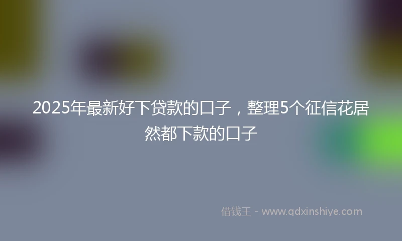 2025年最新好下贷款的口子，整理5个征信花居然都下款的口子