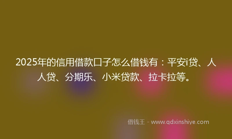 2025年的信用借款口子怎么借钱有：平安i贷、人人贷、分期乐、小米贷款、拉卡拉等。