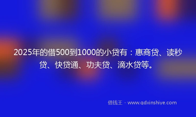 2025年的借500到1000的小贷有：惠商贷、读秒贷、快贷通、功夫贷、滴水贷等。