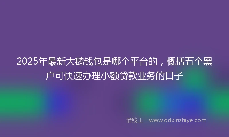 2025年最新大鹅钱包是哪个平台的，概括五个黑户可快速办理小额贷款业务的口子