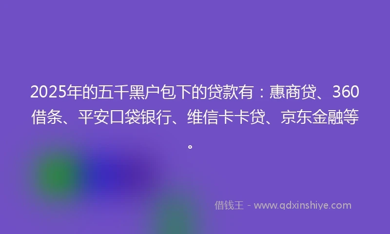 2025年的五千黑户包下的贷款有：惠商贷、360借条、平安口袋银行、维信卡卡贷、京东金融等。