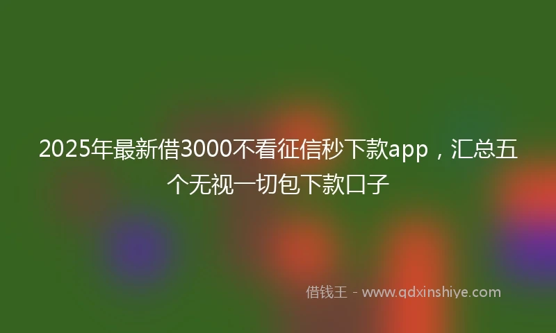 2025年最新借3000不看征信秒下款app，汇总五个无视一切包下款口子