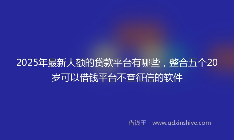 2025年最新大额的贷款平台有哪些,整合五个20岁可以借钱平台不查征信的软件