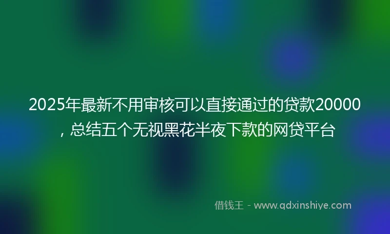 2025年最新不用审核可以直接通过的贷款20000，总结五个无视黑花半夜下款的网贷平台