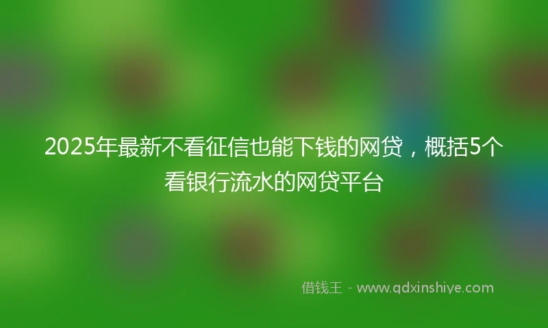 2025年最新不看征信也能下钱的网贷，概括5个看银行流水的网贷平台