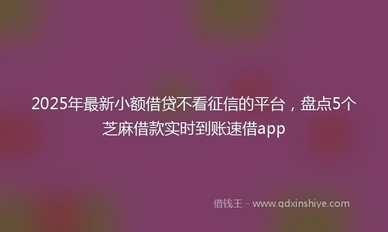 2025年最新小额借贷不看征信的平台，盘点5个芝麻借款实时到账速借app