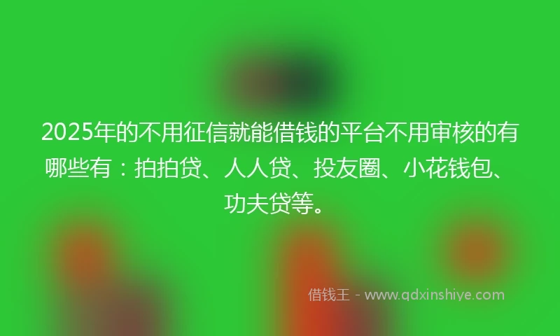 2025年的不用征信就能借钱的平台不用审核的有哪些有：拍拍贷、人人贷、投友圈、小花钱包、功夫贷等。