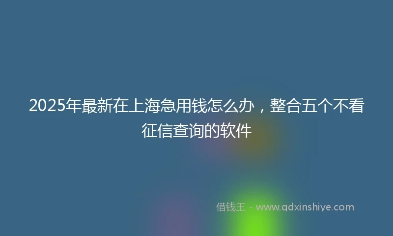 2025年最新在上海急用钱怎么办，整合五个不看征信查询的软件
