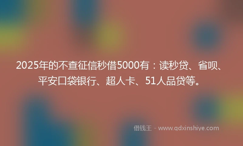 2025年的不查征信秒借5000有：读秒贷、省呗、平安口袋银行、超人卡、51人品贷等。