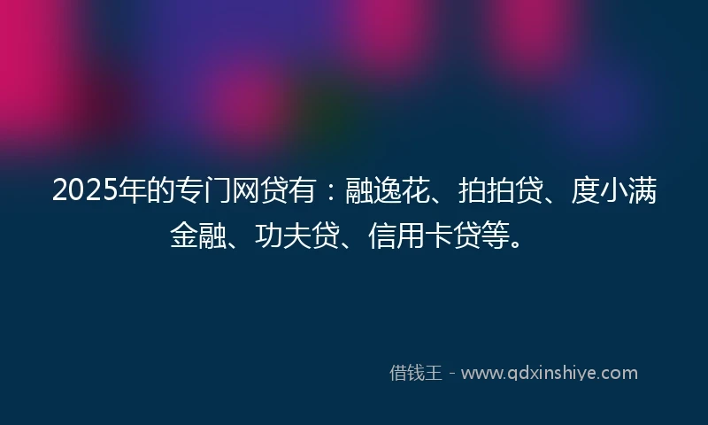 2025年的专门网贷有：融逸花、拍拍贷、度小满金融、功夫贷、信用卡贷等。