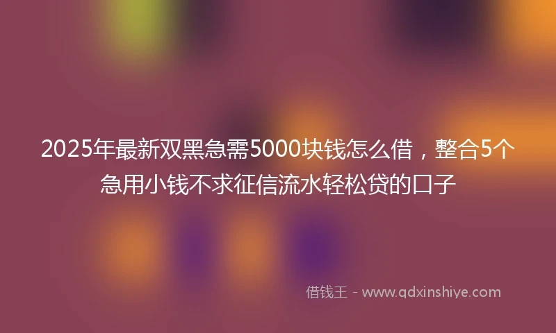 2025年最新双黑急需5000块钱怎么借，整合5个急用小钱不求征信流水轻松贷的口子