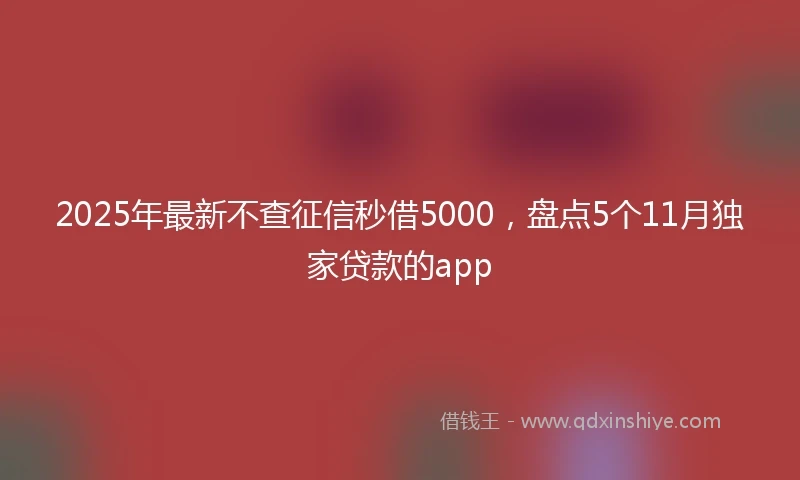 2025年最新不查征信秒借5000，盘点5个11月独家贷款的app