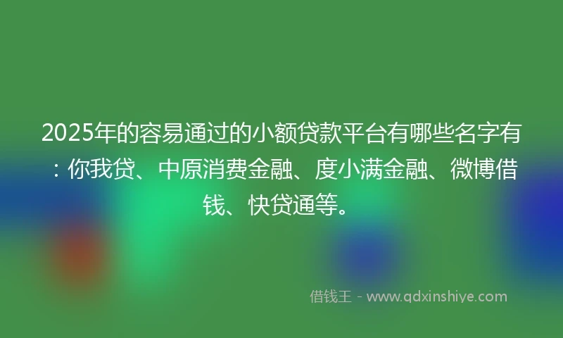 2025年的容易通过的小额贷款平台有哪些名字有：你我贷、中原消费金融、度小满金融、微博借钱、快贷通等。