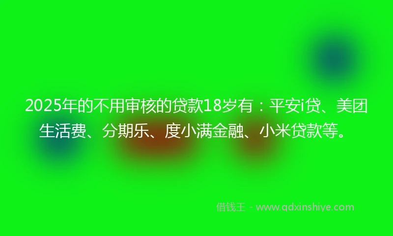 2025年的不用审核的贷款18岁有：平安i贷、美团生活费、分期乐、度小满金融、小米贷款等。