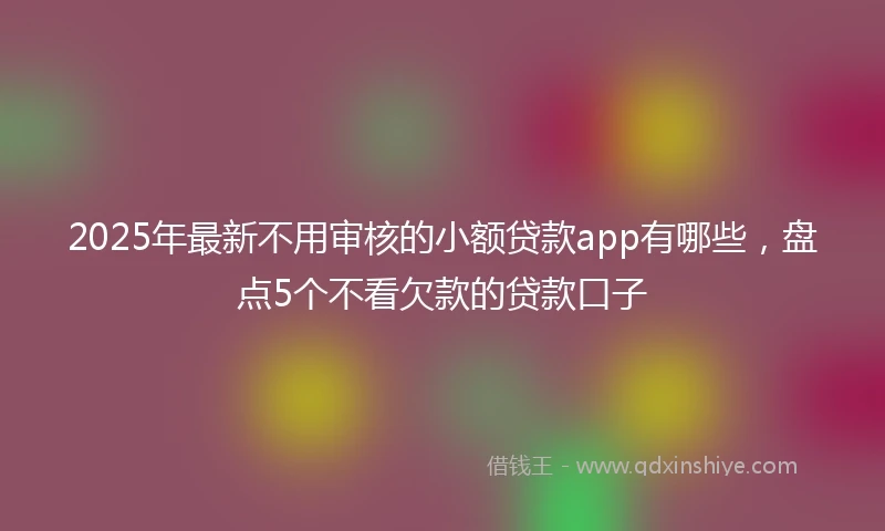 2025年最新不用审核的小额贷款app有哪些，盘点5个不看欠款的贷款口子