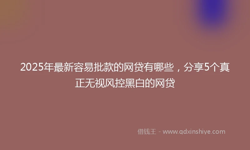 2025年最新容易批款的网贷有哪些，分享5个真正无视风控黑白的网贷