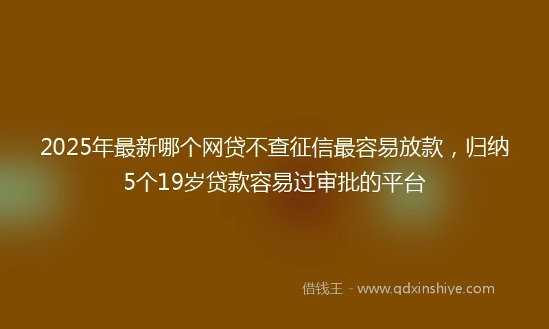 2025年最新哪个网贷不查征信最容易放款，归纳5个19岁贷款容易过审批的平台