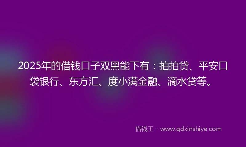2025年的借钱口子双黑能下有：拍拍贷、平安口袋银行、东方汇、度小满金融、滴水贷等。