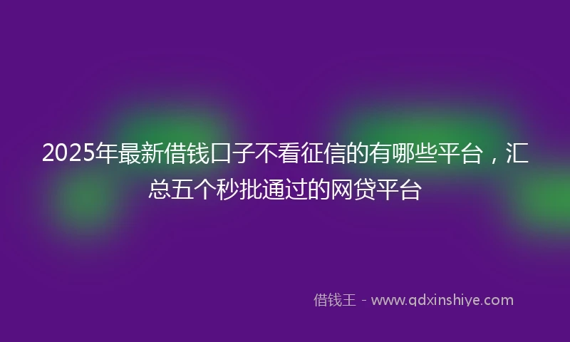 2025年最新借钱口子不看征信的有哪些平台，汇总五个秒批通过的网贷平台