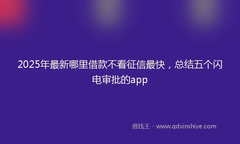 2025年最新哪里借款不看征信最快，总结五个闪电审批的app