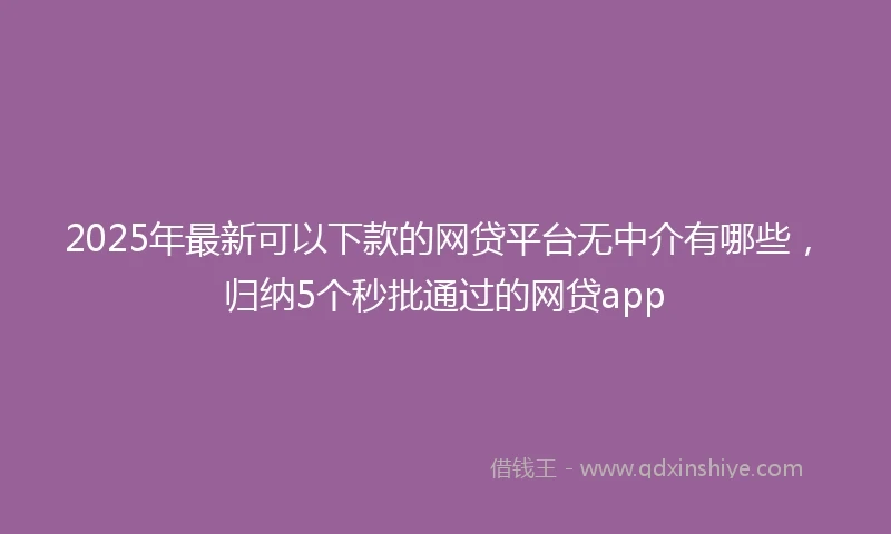 2025年最新可以下款的网贷平台无中介有哪些，归纳5个秒批通过的网贷app