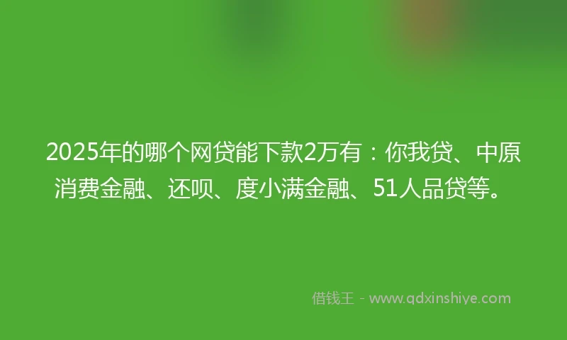 2025年的哪个网贷能下款2万有：你我贷、中原消费金融、还呗、度小满金融、51人品贷等。