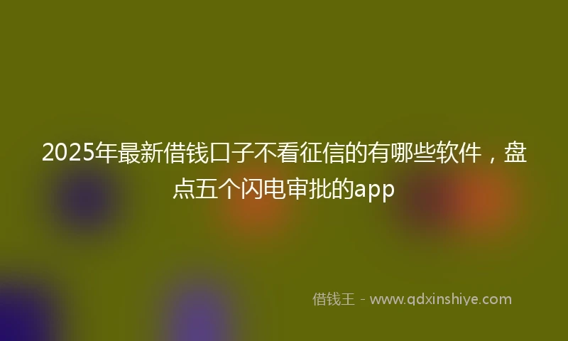 2025年最新借钱口子不看征信的有哪些软件，盘点五个闪电审批的app
