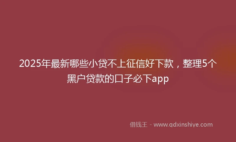 2025年最新哪些小贷不上征信好下款，整理5个黑户贷款的口子必下app