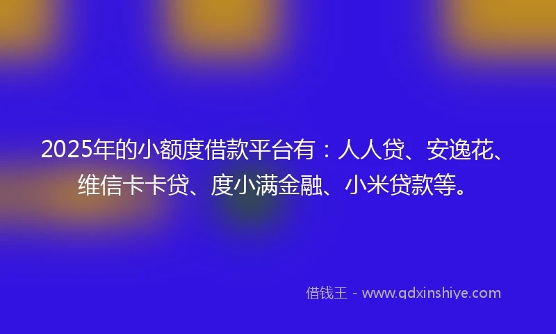 2025年的小额度借款平台有:人人贷、安逸花、维信卡卡贷、度小满金融、小米贷款等。