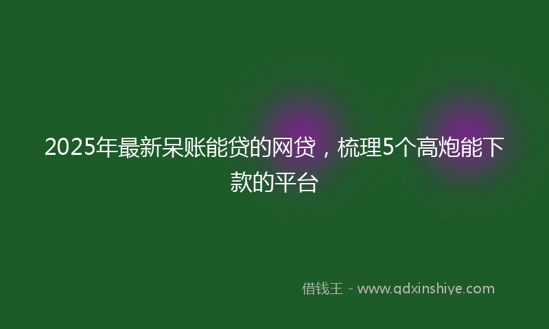 2025年最新呆账能贷的网贷，梳理5个高炮能下款的平台