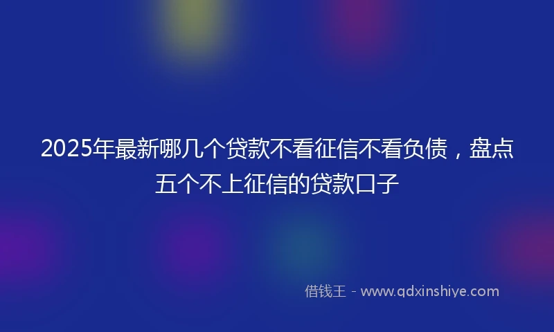 2025年最新哪几个贷款不看征信不看负债，盘点五个不上征信的贷款口子