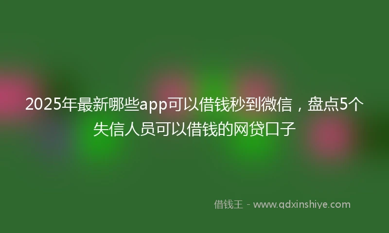 2025年最新哪些app可以借钱秒到微信，盘点5个失信人员可以借钱的网贷口子