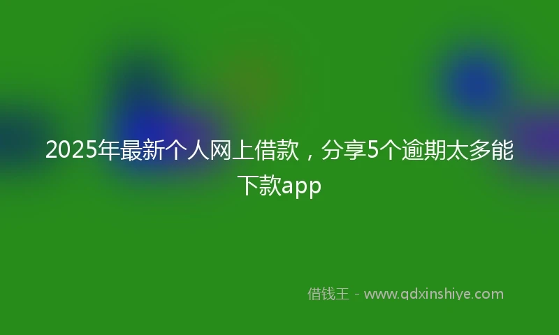 2025年最新个人网上借款，分享5个逾期太多能下款app
