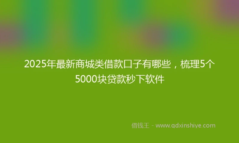 2025年最新商城类借款口子有哪些，梳理5个5000块贷款秒下软件