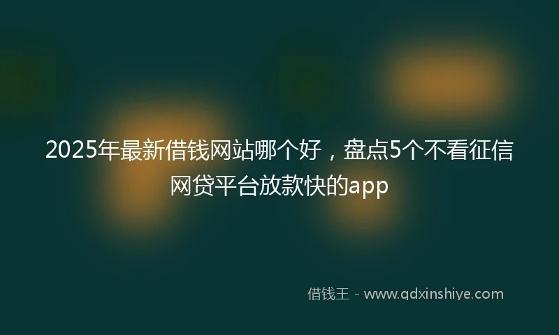 2025年最新借钱网站哪个好，盘点5个不看征信网贷平台放款快的app