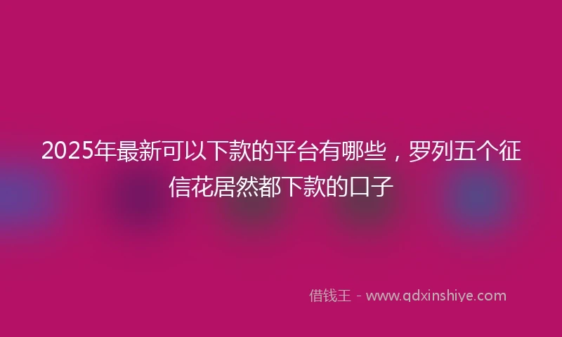 2025年最新可以下款的平台有哪些，罗列五个征信花居然都下款的口子
