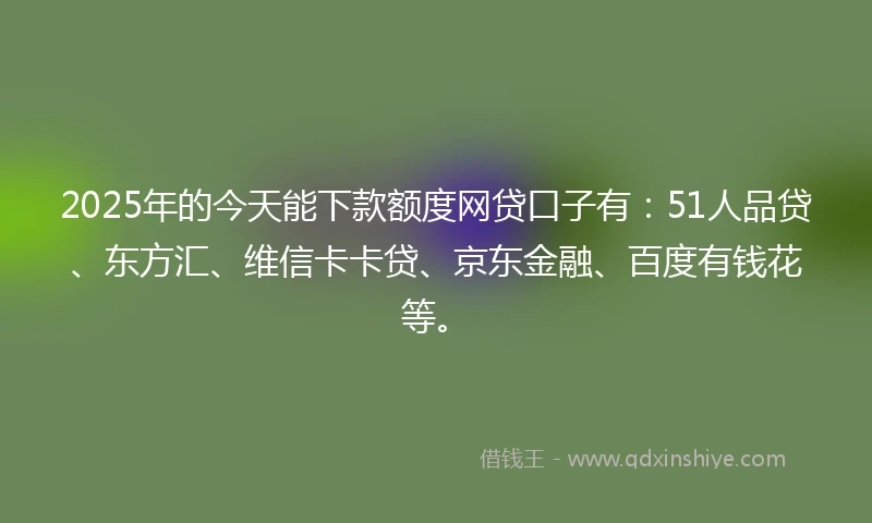 2025年的今天能下款额度网贷口子有：51人品贷、东方汇、维信卡卡贷、京东金融、百度有钱花等。