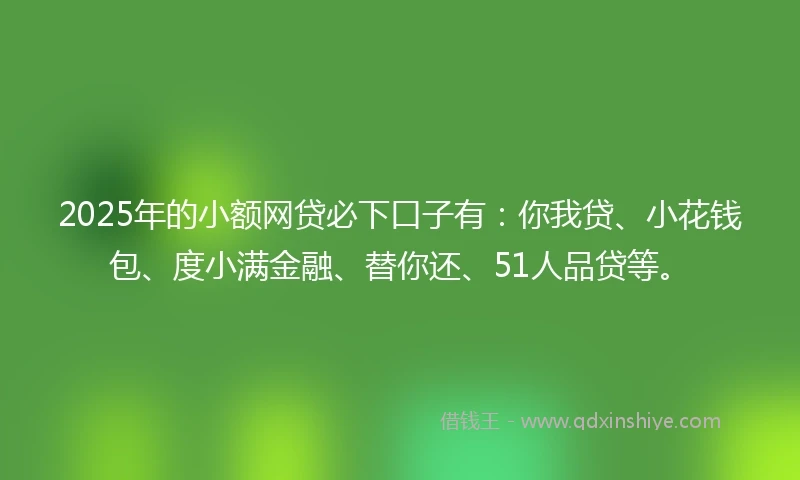 2025年的小额网贷必下口子有：你我贷、小花钱包、度小满金融、替你还、51人品贷等。