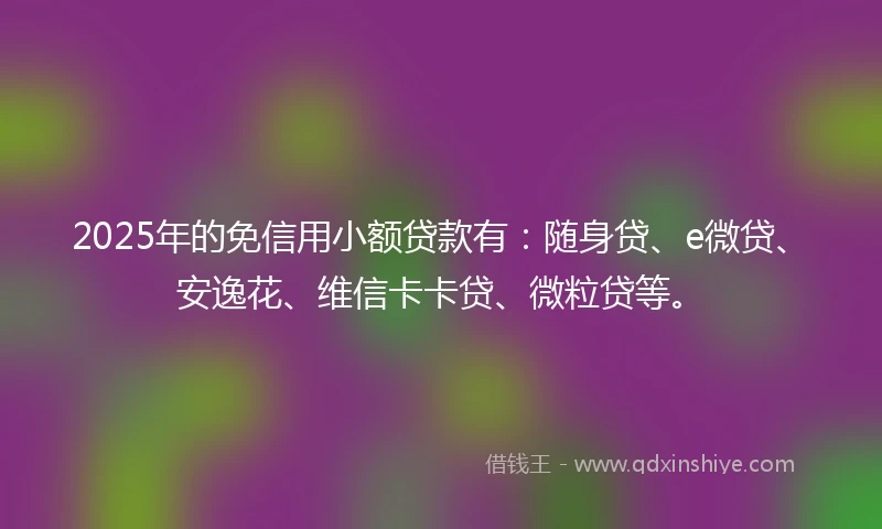 2025年的免信用小额贷款有：随身贷、e微贷、安逸花、维信卡卡贷、微粒贷等。