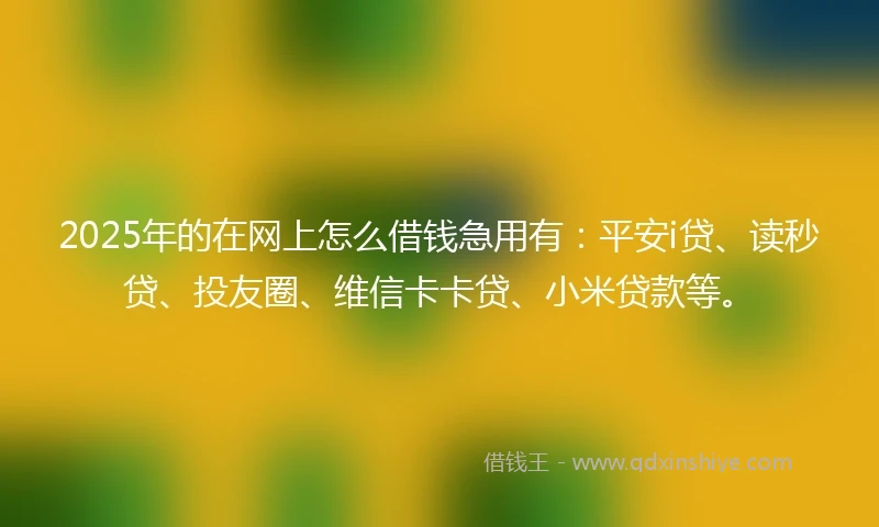 2025年的在网上怎么借钱急用有：平安i贷、读秒贷、投友圈、维信卡卡贷、小米贷款等。