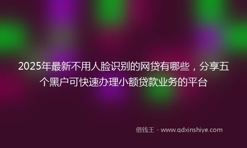 2025年最新不用人脸识别的网贷有哪些，分享五个黑户可快速办理小额贷款业务的平台