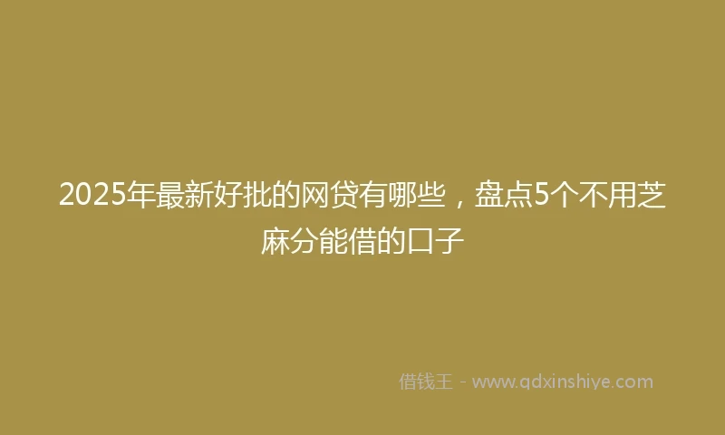 2025年最新好批的网贷有哪些，盘点5个不用芝麻分能借的口子