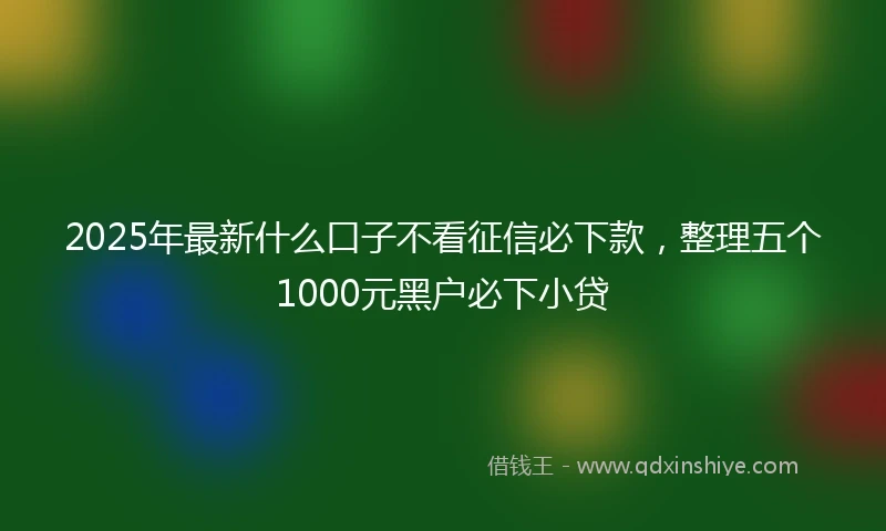2025年最新什么口子不看征信必下款，整理五个1000元黑户必下小贷