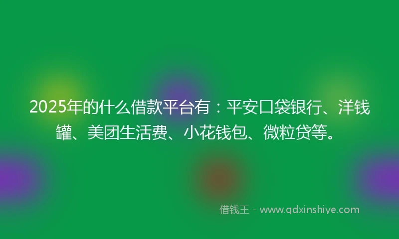 2025年的什么借款平台有：平安口袋银行、洋钱罐、美团生活费、小花钱包、微粒贷等。