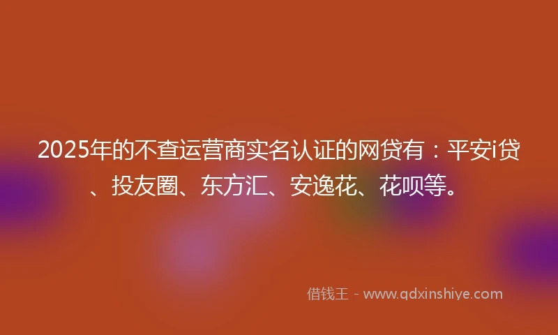 2025年的不查运营商实名认证的网贷有：平安i贷、投友圈、东方汇、安逸花、花呗等。